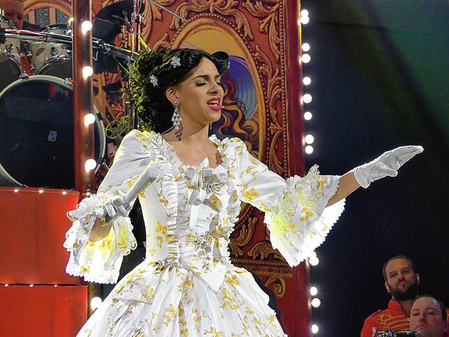 Bild 18: Musical-Karussell feiert Premiere: Das sind die Bilder (II)