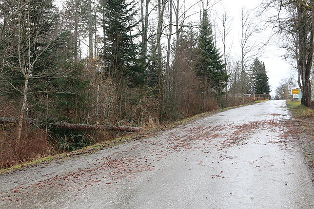 An der Fichtenstraße in Mönchweiler hat Sturm Sabine einen Baum umgelegt. Die Straße ist mittlerweile wieder frei. Von Seiten der ...