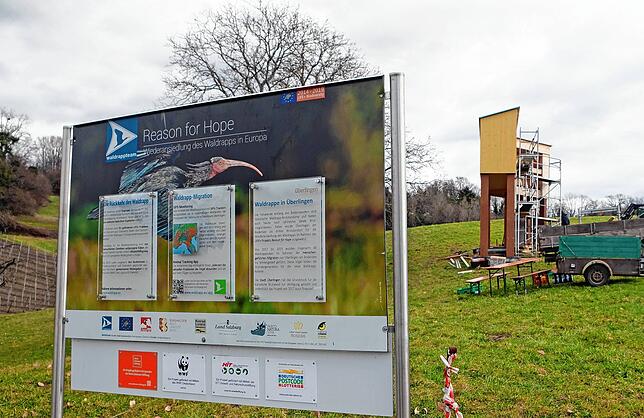 Eine Informationstafel klärt Spaziergänger am Rand des Wirtschaftsweges über das Projekt im Allgemeinen und den Bezug zu Überlingen auf.