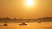 Die aufgehende Sonne färbt den Nebel bei Bad Buchau am 12. August gelb