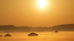 Die aufgehende Sonne färbt den Nebel bei Bad Buchau am 12. August gelb