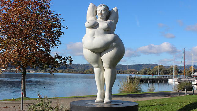 Einer der neu ausgewiesenen Selfie-Points wird vor Yolanda, der Skulptur von Miriam Lenk am Ludwigshafener Ufer, installiert. Das ...