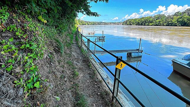 Entlang des Mumpfer Rheinufers führt ein eigentlich idyllischer Wanderweg – der allerdings seit Monaten gesperrt ist. Rechts im Bild die ...