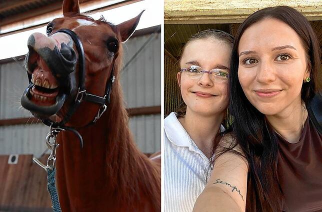Und lächeln: Snow ist ein lustiger Wallach, findet Melina Laurenzana (Zweite von rechts), die von der SÜDKURIER-Reporterin einen ...