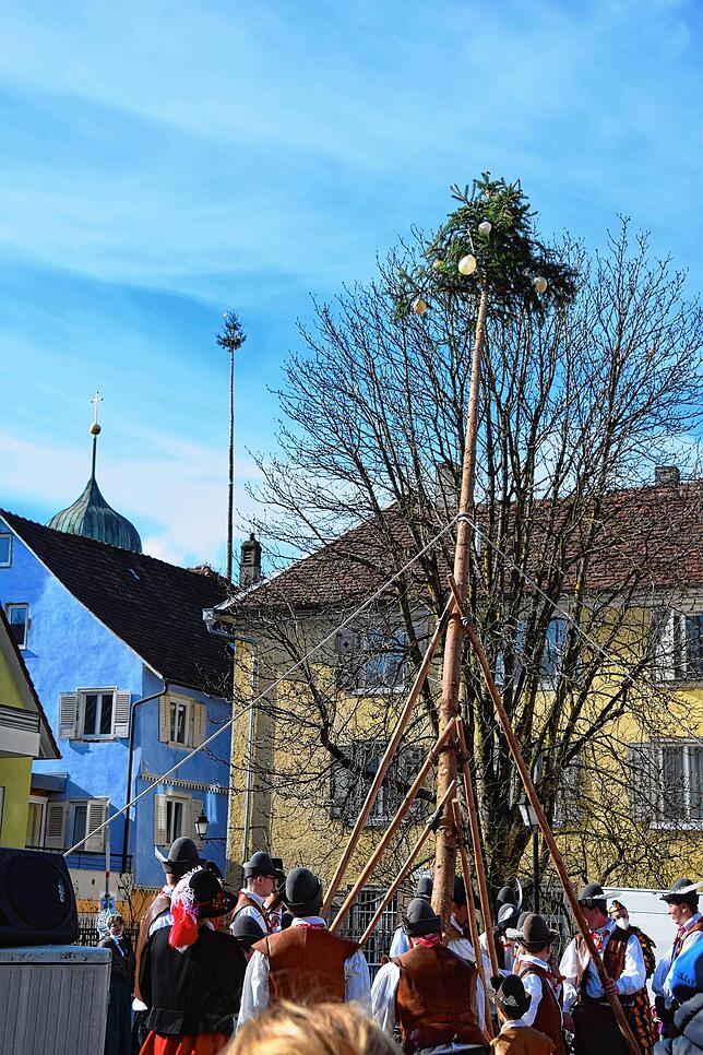 Bild 28: Bilder vom Kindernarrenbaum-Setzen auf dem Gustav-Hammer-Platz in Stockach