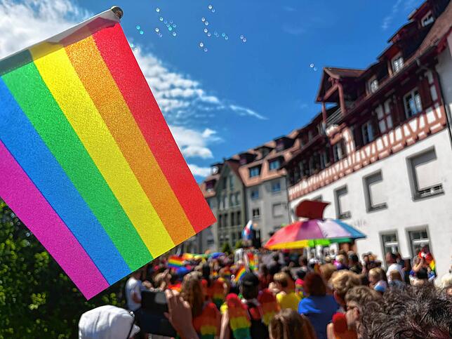 Bild 2: So bunt war der 3. Überlinger CSD