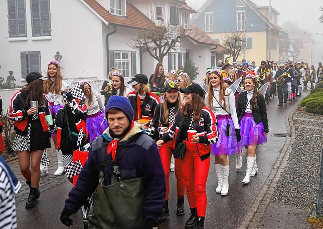 Bild 3: Bilder vom Rathaussturm in Hagnau