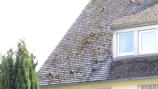 Ein lebensgroßer Reiter ziert seit 52 Jahren die Hauswand der Zeppelinstrasse 281 in Fischbach.