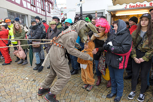 Bild 29: Tausende Hästräger und Musiker in Pfullendorf: Bilder vom Umzug (3)