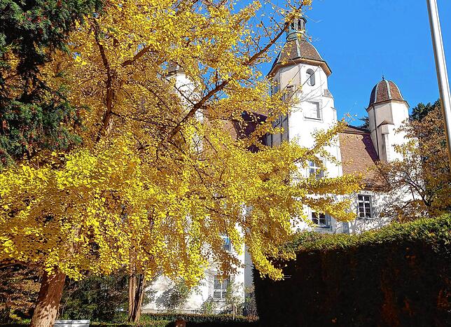 Farbenfroh: Das Bad Säckinger Trompeterschloss im Herbst.