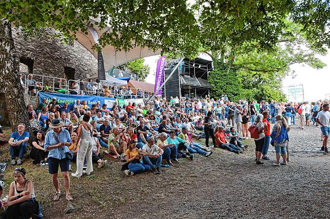 Bild 12: Hohentwiel-Festival mit der Spider Murphy Gang - Bilderstory Teil 1