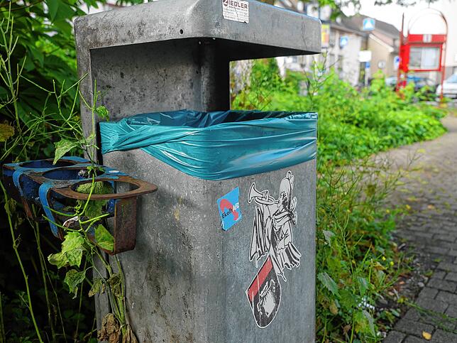 Von Pflanzen überwuchert und verrostet sind die Pfandringe teils Bad Säckingen, hier am Bahnhof.