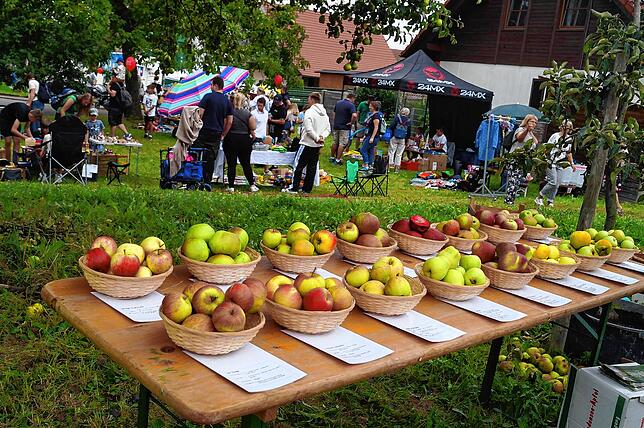 Bild 10: Die schönsten Bilder vom Herbstmarkt in Frickingen