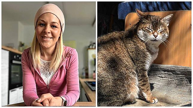 Leukämie-Patientin Nina Brugger hat ihren Lebensretter gefunden und Kater Felix ist nach sechs Jahren wieder daheim – diese und weitere ...