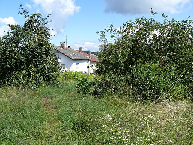 Das Grundstück an der Längerbohlstraße/Stifterstraße von der Kirche aus betrachtet. Bisher war die Fläche auch Spielraum für Kinder.