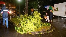 Bild : Bilder vom Sturm-Inferno beim Seehasenfest 2004