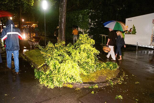 Bild 1: Bilder vom Sturm-Inferno beim Seehasenfest 2004