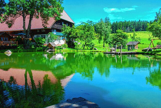 So sieht der Hofweiher beim Hirzbauernhof in guten, also regenreichen Jahren aus. Das Foto stammt aus dem Jahr 2009.