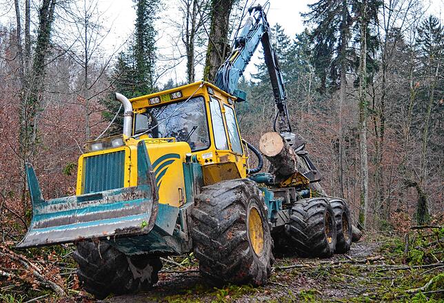 Arbeiten derzeit unter Hochdruck: die Vollernter der Forstunternehmen.