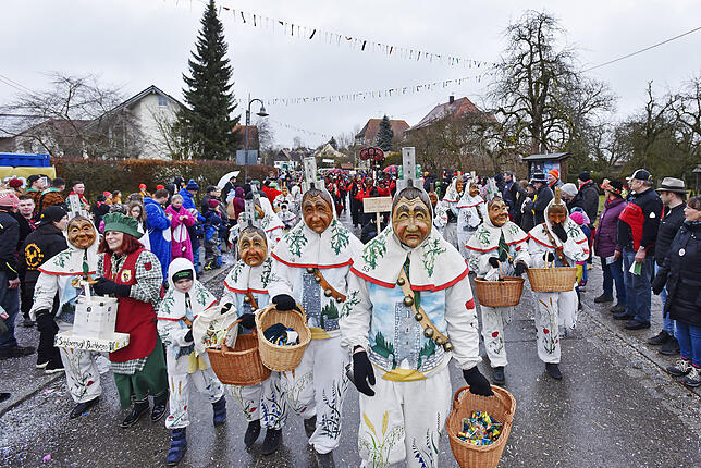 Bild 10: Bilder des großen Umzugs bei den Hattinger Narrentagen