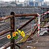 Ein Strauß Plastikblumen ist nach dem schweren Busunglück nahe der Unfallstelle angebracht. Auch eine Familie aus Rheinfelden war unter ...