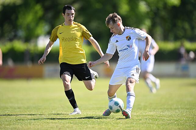 Bild 6: SV 08 Laufenburg siegt 1:0 beim FV Herbolzheim – und wir haben Fotos!