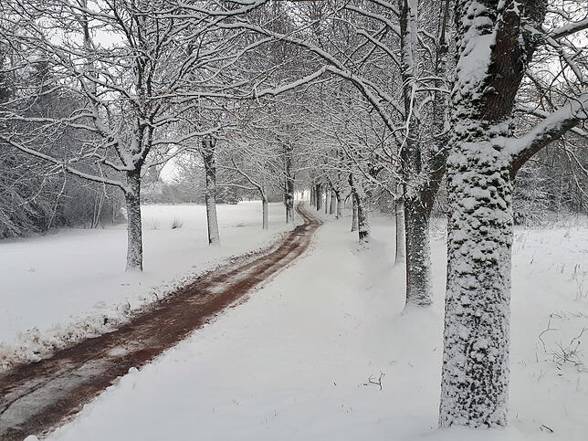 Bild 8: Winterimpressionen aus Villingen-Schwenningen und Umgebung