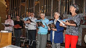 Der Kirchenchor freut sich über neue Mitglieder und singt in unterschiedlichen Besetzungen. Bilder: Andreas Böhm