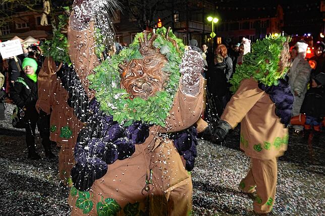 Bild 4: Nachtumzug in Görwihl