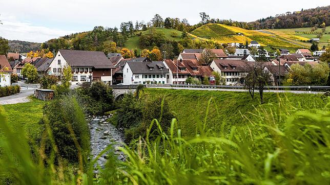 Tegerfelden (Archivbild), ein kleines Dorf im Surbtal im Kanton Aargau, gerät durch den Auftritt des rechtsextremen Martin Sellner in ...