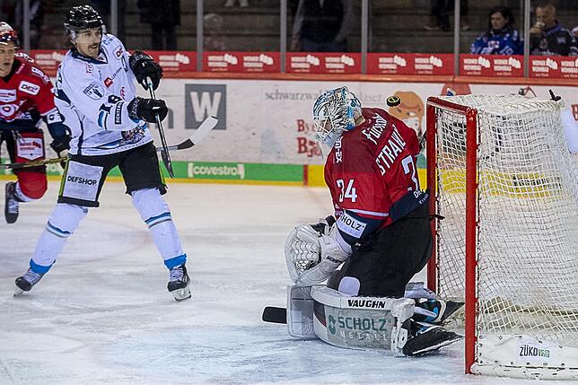 Bild 28: Die Wild Wings siegen wieder in der Deutschen Eishockey-Liga