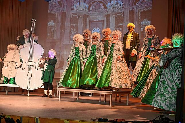 Bild 5: Das sind die besten Bilder vom Bunten Abend des Narrenvereins Räbenheim