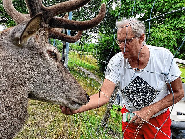 Bild 9: So kommen Zootiere mit der Hitze klar