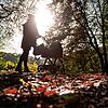 Eine Frau geht mit einem Kinderwagen im Wald bei tiefstehender Sonne spazieren. Das Karriererisiko Kinder war Thema bei der jüngsten ...