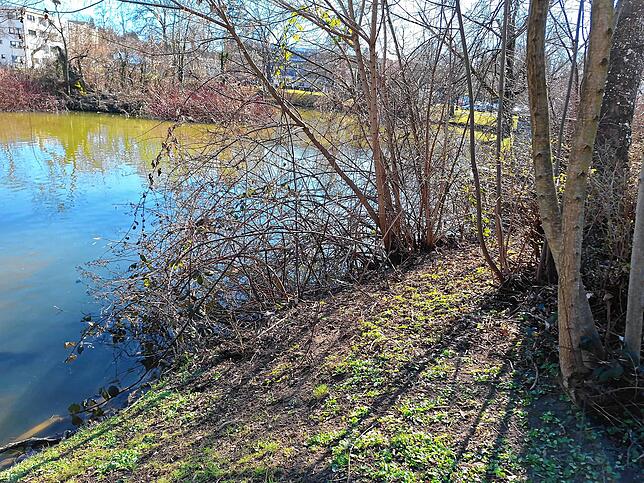 Böschungen am Ufer rutschen allmählich in den Stadtsee ab und stellen eine Gefahr für das Gewässer dar.
