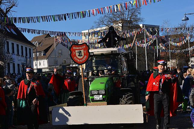 Bild 9: Bilder vom Narrentreffen der Urviecher-Zunft Bad Dürrheim: Großer Festumzug (3)