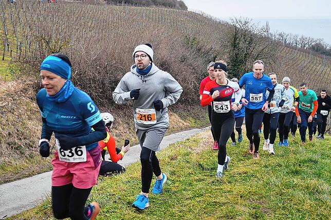 Bild 9: Bilder vom Crosslauf Hegau-Bodensee in den Reben oberhalb der Haltnau
