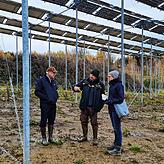 Ortstermin in der Forst-Photovoltaikanlage bei Rengetsweiler mit Vertretern des Landratsamt und dem SWR. Die Personen von links: Hans ...