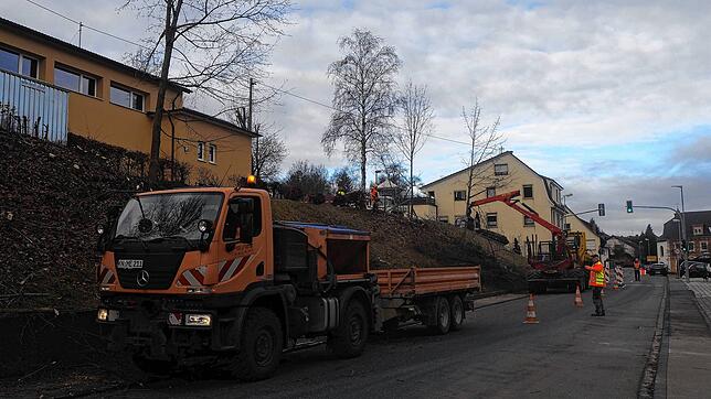 Unterhalb des Schulhangs in Mühlhausen sollen zwölf Parkplätze entstehen. Das hat der Gemeinderat im Rahmen der Schloßstraßensanierung ...