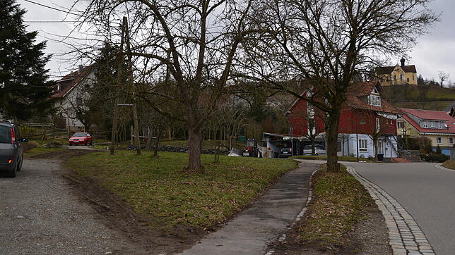 Auf dieser Grünfläche an der Hauptstraße in Baitenhausen soll ein Dorfplatz geschaffen werden.