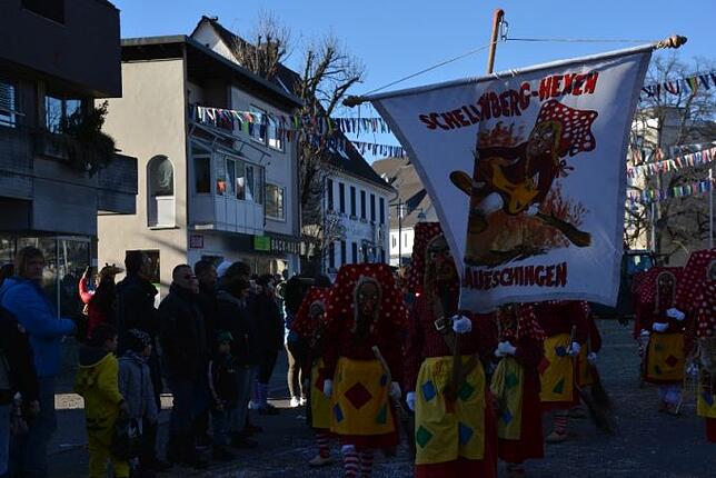 Bild 17: Bilder vom Narrentreffen der Urviecher-Zunft Bad Dürrheim: Großer Festumzug (4)