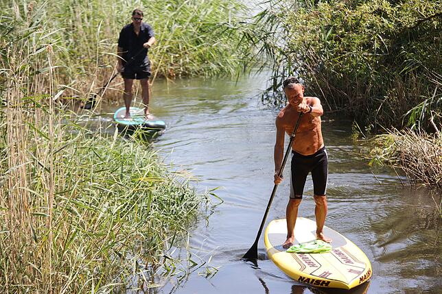 Nach der intensiven und spaßigen Trainingseinheit kommen Ulf Meßmer und Andreas Schuler zurück zum Gelände des Windsurfclubs Dingelsdorf.