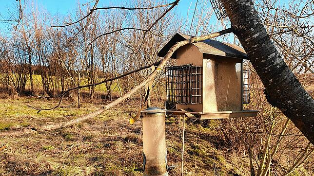 Naturfreunde helfen Vögeln mit Futter wie hier am Villinger Stadtrand. Was die Tiere gerade in diesem Jahr dringend auch brauchen ...