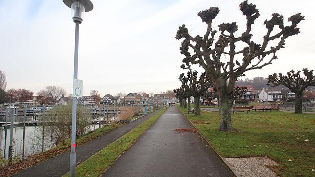 An der Ostmole ist geplant, zuerst den schmalen, hafenseitigen Weg (links) abzubrechen und zu entsorgen. Die übrigen beiden Wege sollen ...