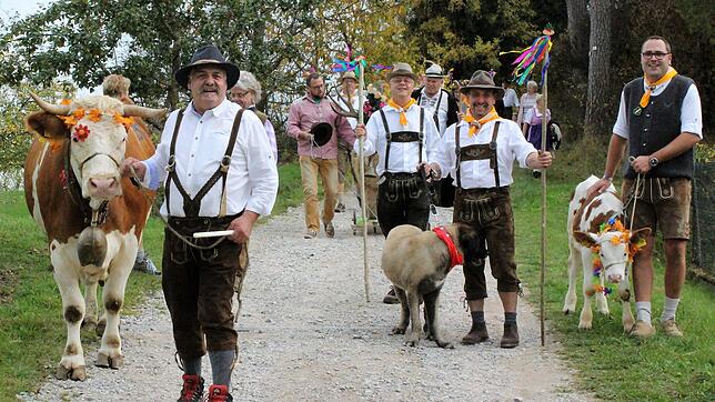 Zünftig und mit tierischer Begleitung geht es beim Almabtrieb vom Kirchliberg zu, wie die Bilder aus vergangenen Jahren zeigen.