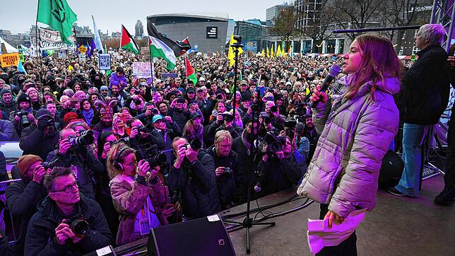 Greta Thunberg spricht zu Zehntausenden von Menschen, die sich versammelt haben, um mehr Maßnahmen zur Bekämpfung des Klimawandels zu ...