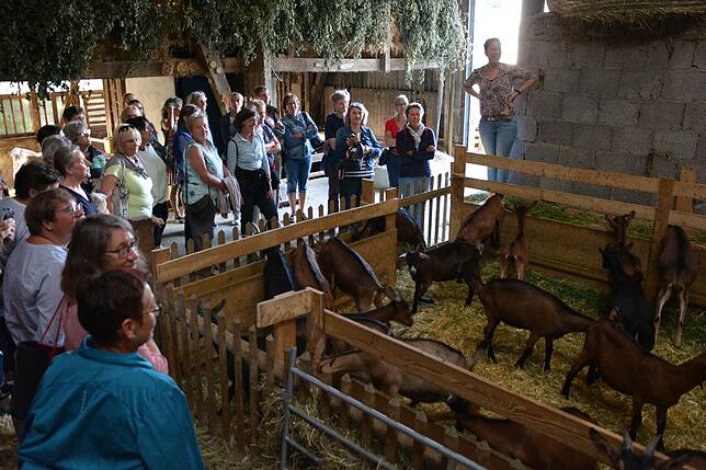 50 Landfrauen aus dem Bezirk Waldshut ließen sich bei einer Hofführung mit Christina Burkard (rechts) das Konzept des Lindenhofs erläutern.