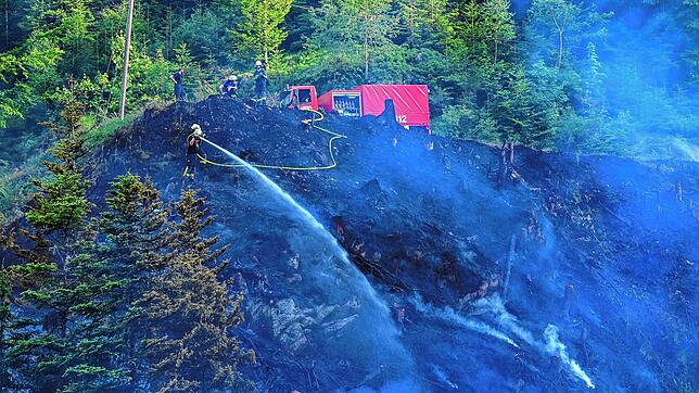 Die Löscharbeiten vor einigen Wochen an einem Steilhang bei Triberg gestalteten sich schwierig. Einsatzkräfte mussten zunächst mehrere ...