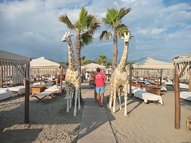 Bild 2: Strand-Ärger in Italien: Milliardengeschäft mit Liegen und Schirmen