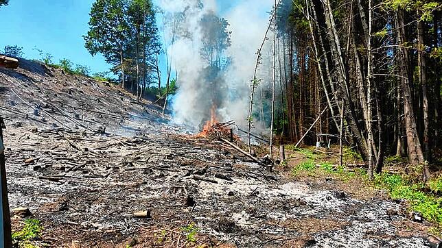 16. Juni 2021: 3000 Quadratmeter gerodete Waldfläche geraten im Andelsbachtal zwischen Hänner und Rotzel in Brand.